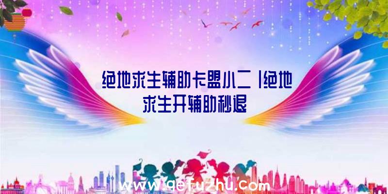 「绝地求生辅助卡盟小二」|绝地求生开辅助秒退